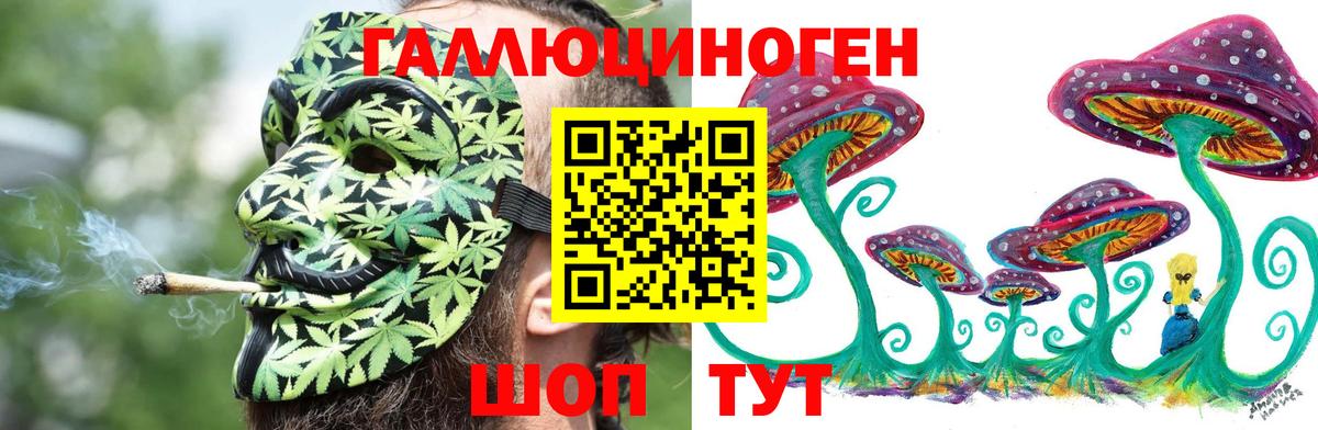 Псилоцибиновые грибы Psilocybe  Галлюциногенные грибы Psilocybine cubensis  Вход с VPN  Углич 