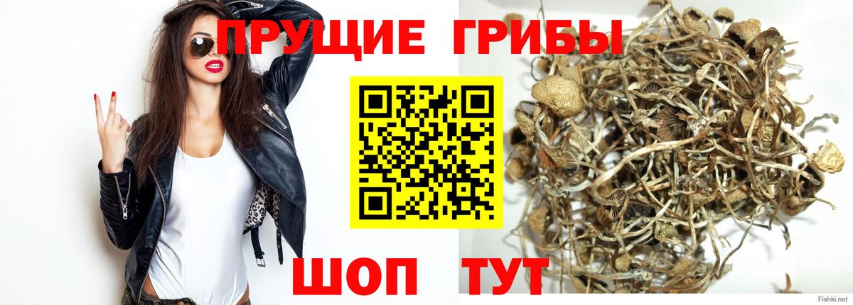 Галлюциногенные грибы мицелий Углич